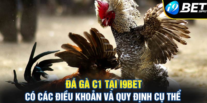 Đá gà c1 tại i9bet có các điều khoản và quy định cụ thể